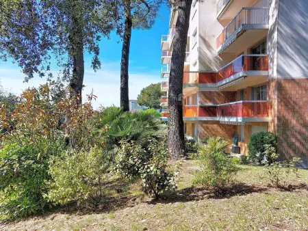 Studio 32 m² Dunes de Nauzan, 100 m de la plage : photo 3