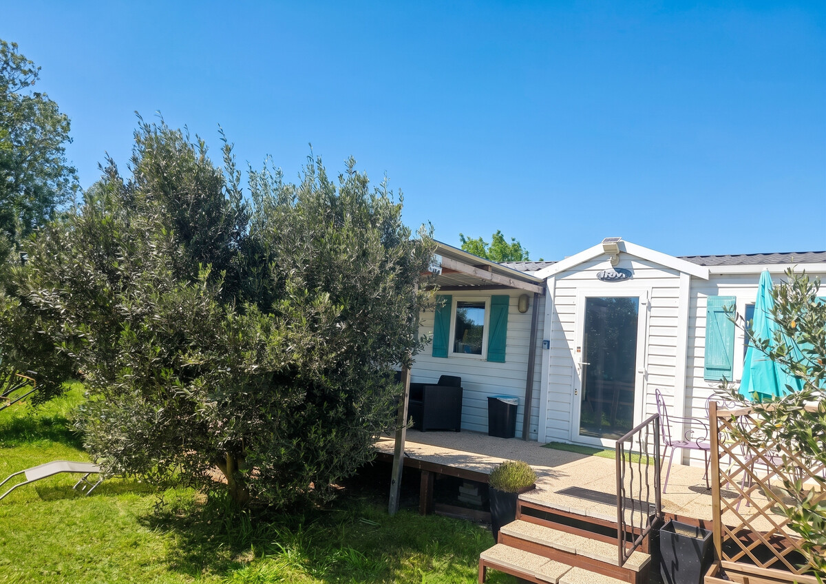 Bungalow 5 personnes à Arles avec piscine et jardin - Photo 6