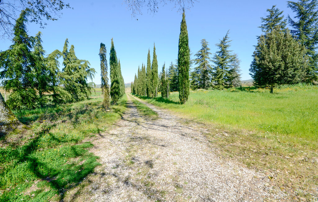 Pian del Leccione, Maison 12 personnes à Manciano - Photo 15