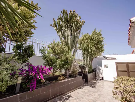 Appartement charmant avec clim - 4 pers., Bungalow 4 personnes à Maspalomas - Photo 5