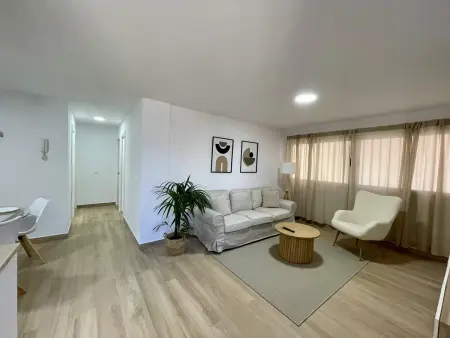 Appartement 3 chambres avec cour, animaux admis : photo 3