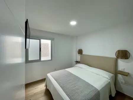 Appartement 3 chambres avec cour, animaux admis : photo 11