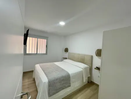 Appartement 3 chambres avec cour, animaux admis : photo 13
