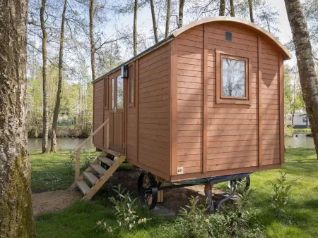 Location maison à Kinrooi, Camping Papillon Kinrooi - Pipowagen 2 personen