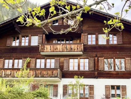 Location appartement de vacances à Zweisimmen