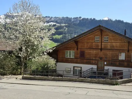 Location appartement de vacances à Zweisimmen