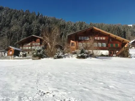 Location appartement de vacances à Zweisimmen