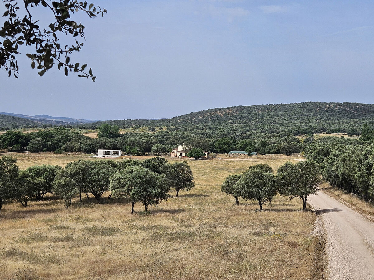 Finca El Alamo – Maison 6 ch, piscine, 12 pers - Photo 50