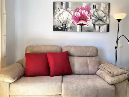 Appartement 1 chambre à 300m de la plage, Nerja : photo 13