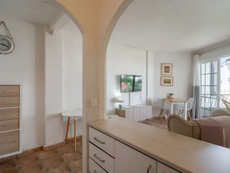 Appartement 1 chambre Nerja, piscine première ligne : photo 10