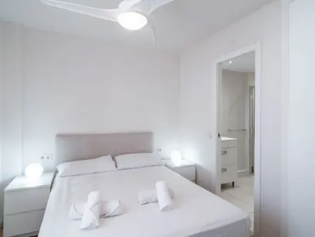 Appartement 1 chambre Nerja, piscine première ligne : photo 15