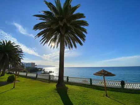 Appartement 1 chambre Nerja, piscine première ligne : photo 23