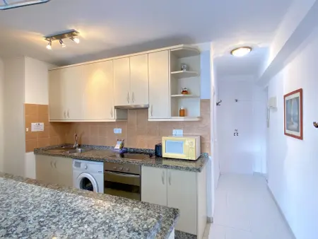Appartement 4 pers., terrasse piscine à 250m de la plage : photo 8