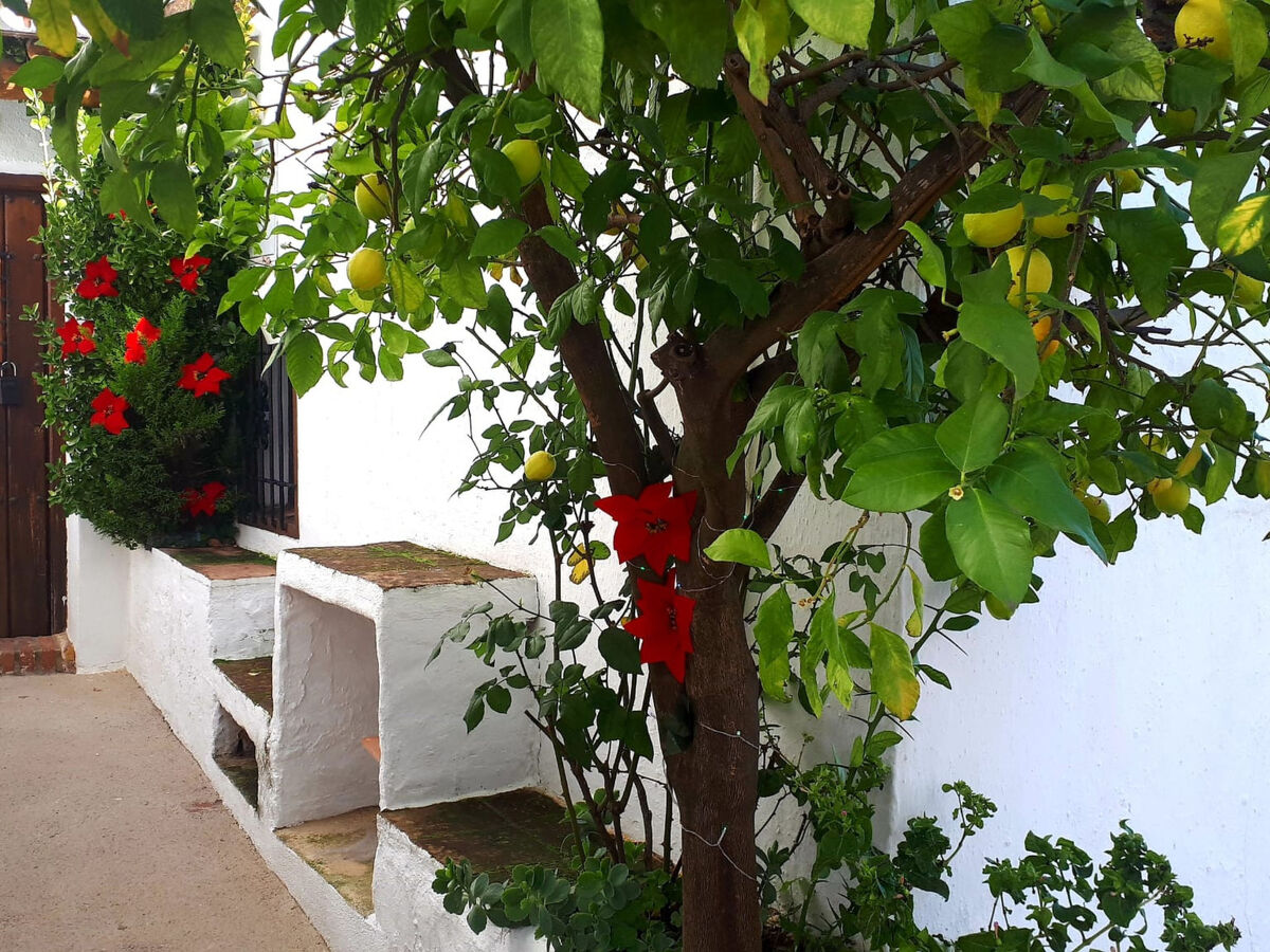Casa la Solana, maison 3 chambres à Benadalid - Photo 7