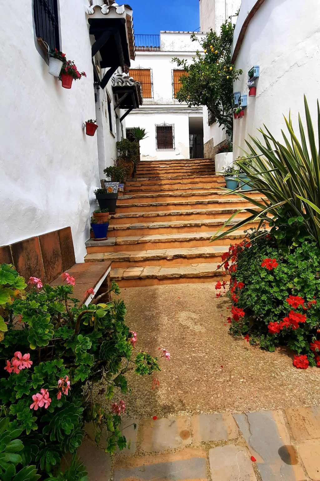 Casa la Solana, maison 3 chambres à Benadalid - Photo 22