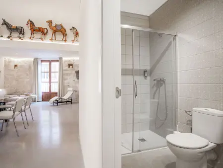 Appartement 2 ch, 70 m², centre Palma de Mallorca : photo 9