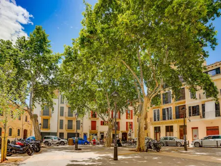 Duplex 1 chambre Palma, 72 m² centre-ville : photo 30