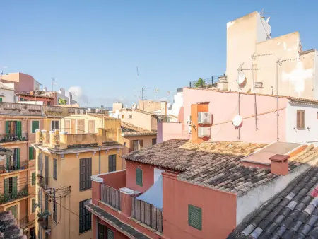 Appartement 2 chambres avec terrasse vue mer à Palma : photo 29