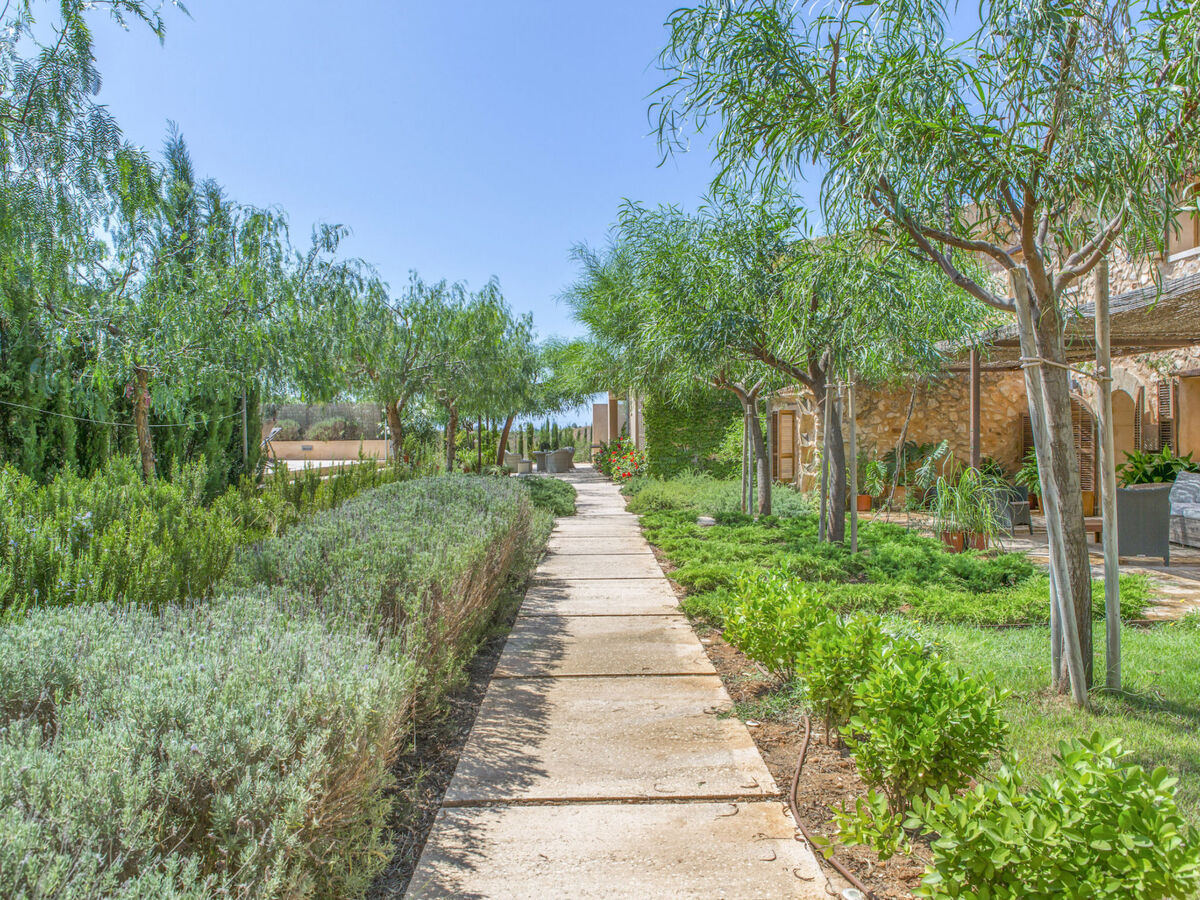 Villa ES Trenc - 6 chambres, piscine privée à Campos - Photo 33