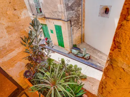 Villa Ses Salines Terrace Home, 2 chambres : photo 16