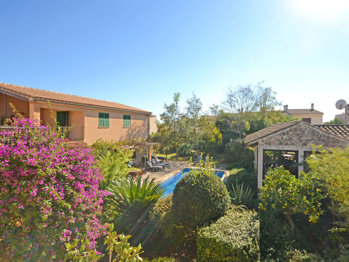 Can Casta : maison 6 chambres avec piscine à Petra - Photo 18