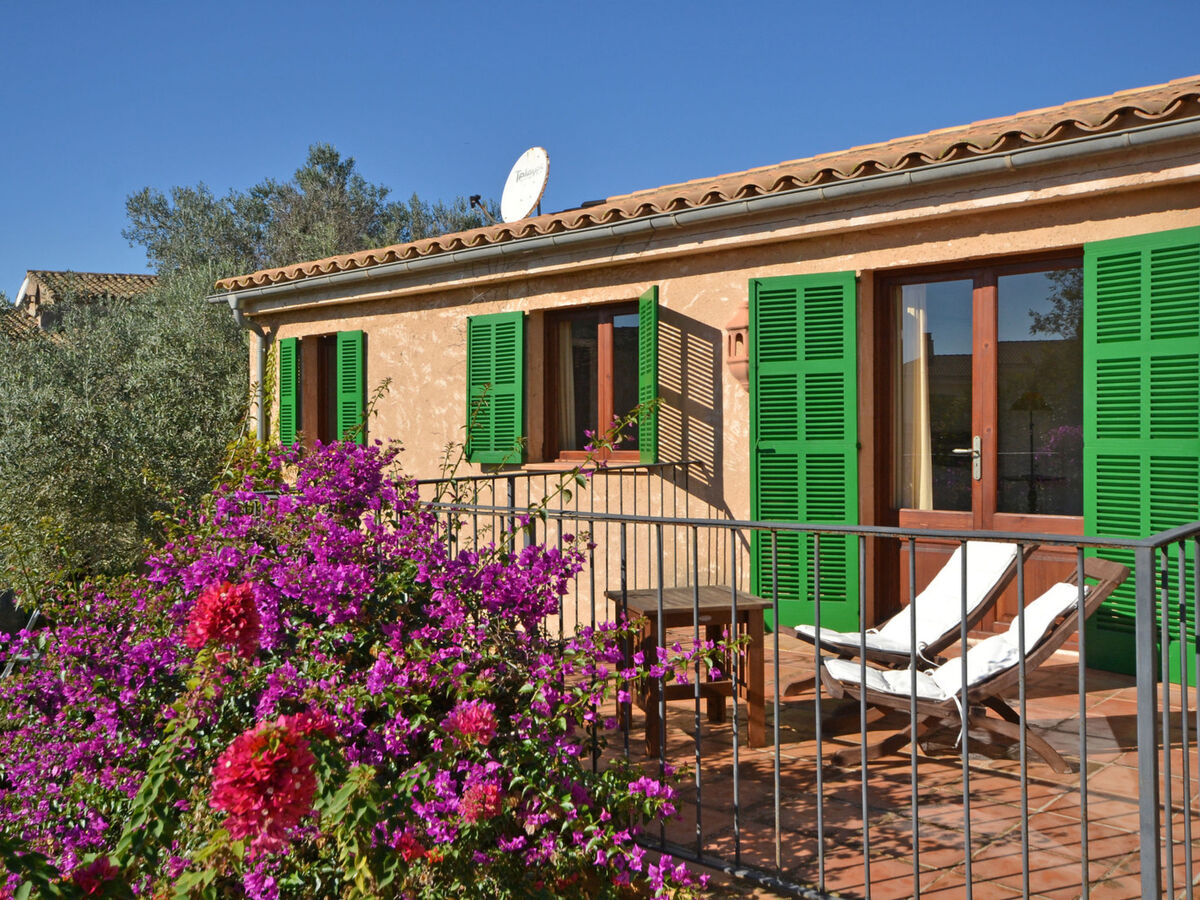 Can Casta : maison 6 chambres avec piscine à Petra - Photo 19