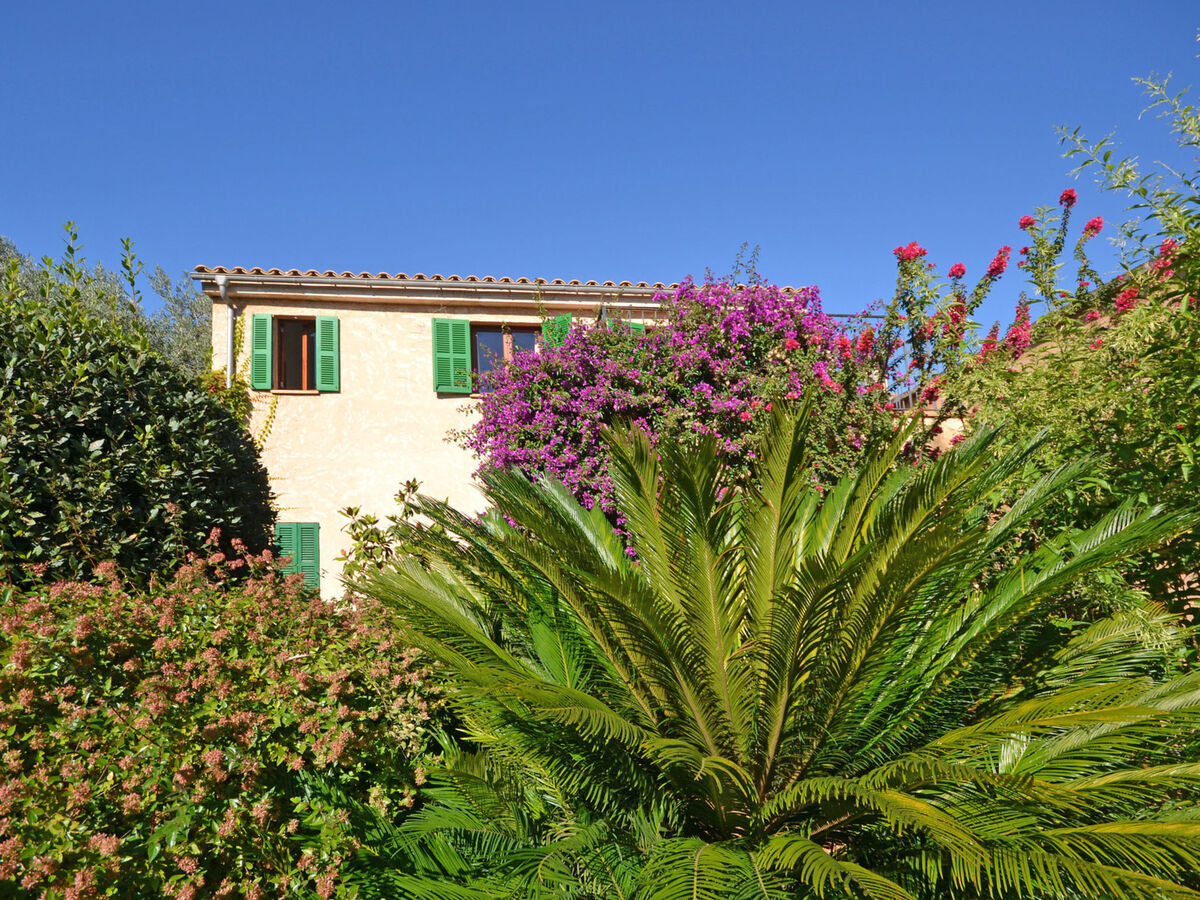 Can Casta : maison 6 chambres avec piscine à Petra - Photo 44