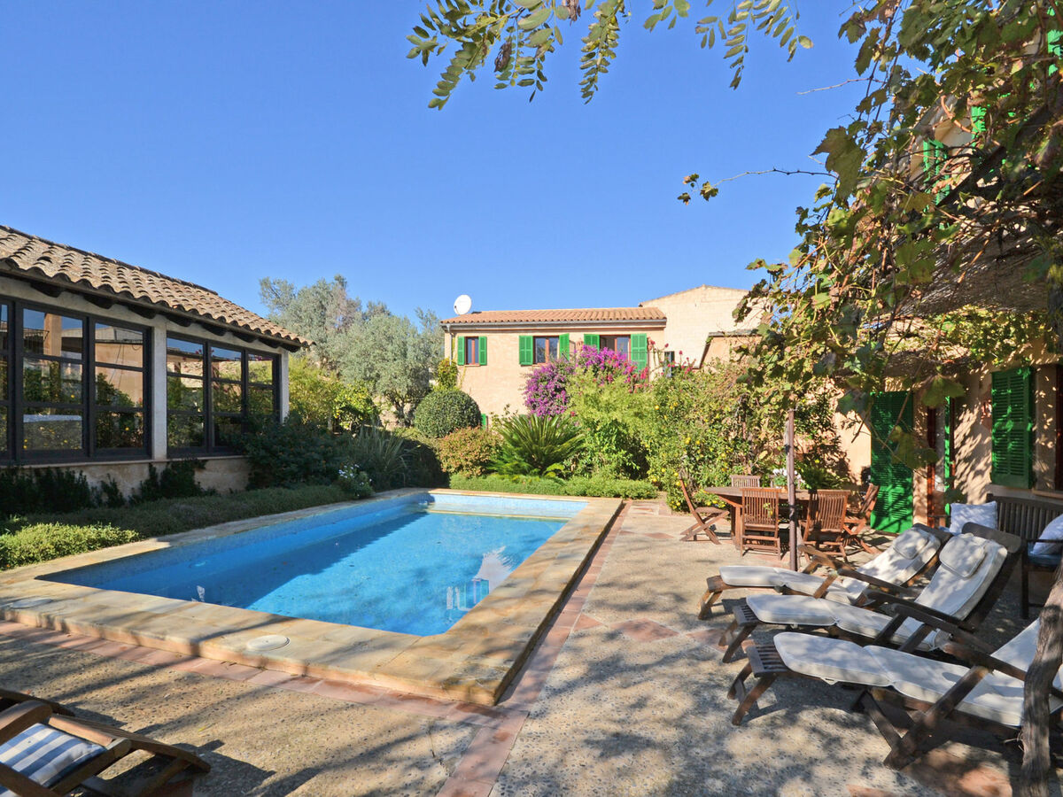 Can Casta : maison 6 chambres avec piscine à Petra - Photo 46