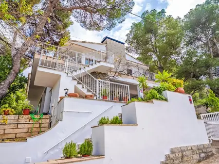 Villa 4 chambres avec piscine privée à Can Picafort : photo 19