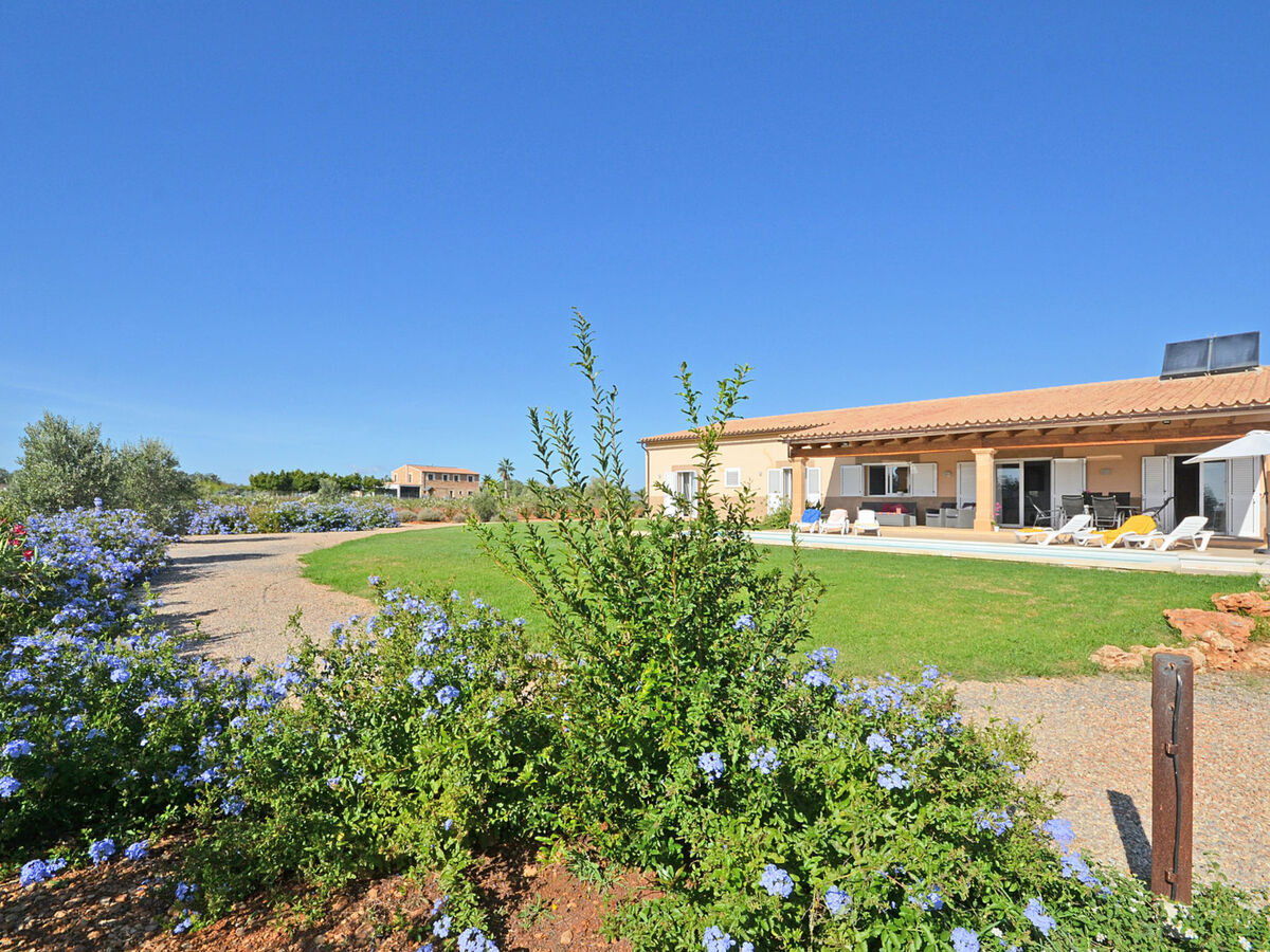 Maison campagne Binissalem, piscine et 3 chambres - Photo 2