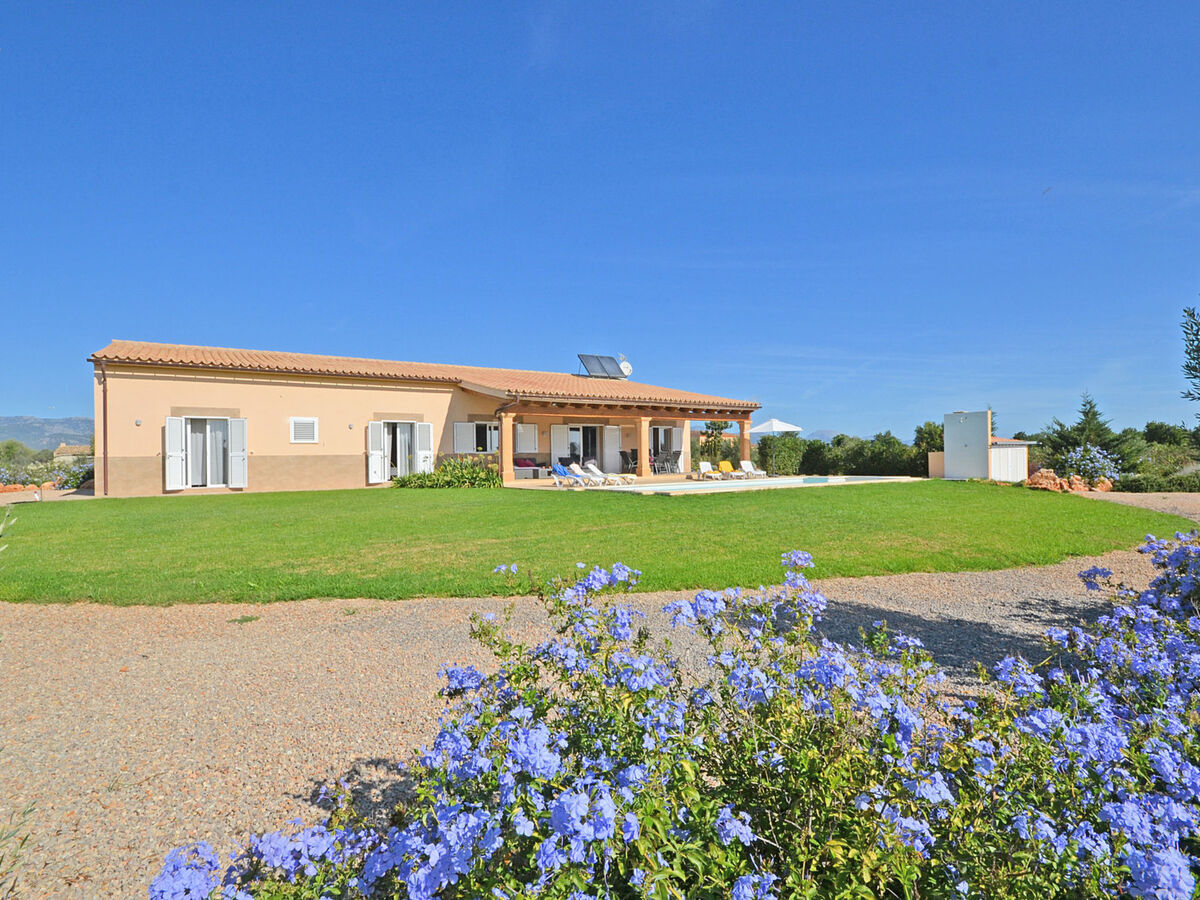 Maison campagne Binissalem, piscine et 3 chambres - Photo 34