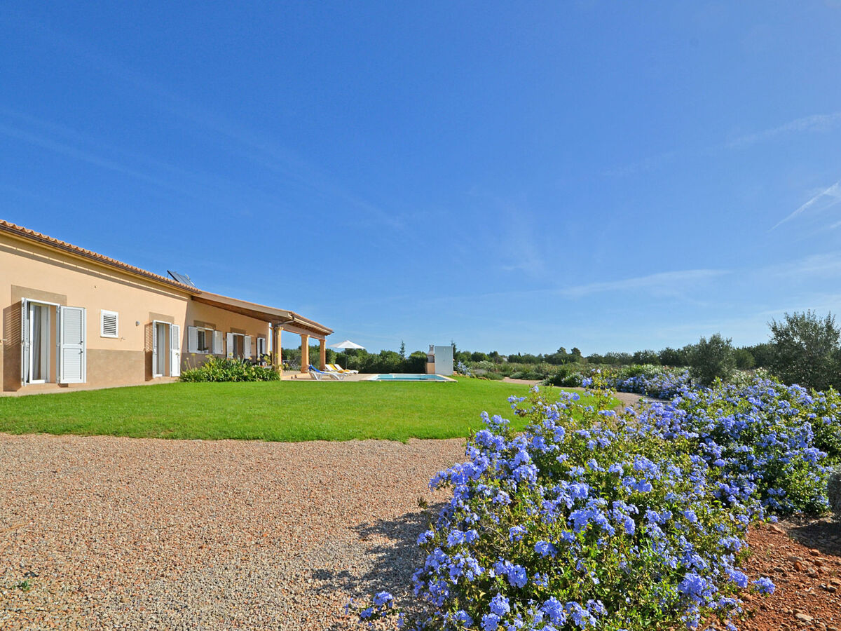 Maison campagne Binissalem, piscine et 3 chambres - Photo 35