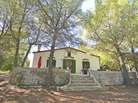 Maison de caractère à Alcúdia, à 150 m de la plage : photo 46