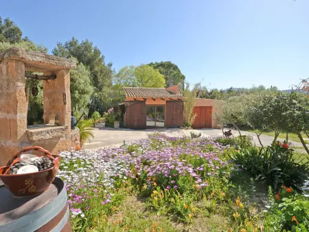 Maison en pierre du 17e siècle, piscine 10x10m, Alcúdia : photo 29