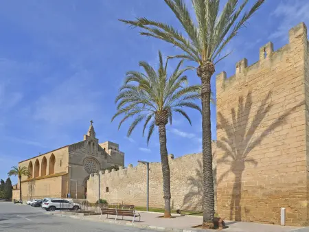 Appartement Oliva à 180 m de la plage d'Alcúdia : photo 19