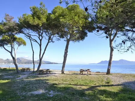Maison 4 chambres pieds dans l'eau à Pollença : photo 42