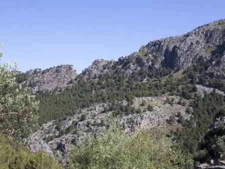 VILLA ES COCO SOLLER, Maison 4 personnes à Sóller - Photo 25