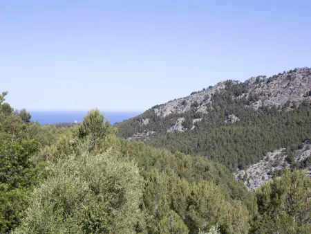 VILLA ES COCO SOLLER, Maison 4 personnes à Sóller - Photo 26