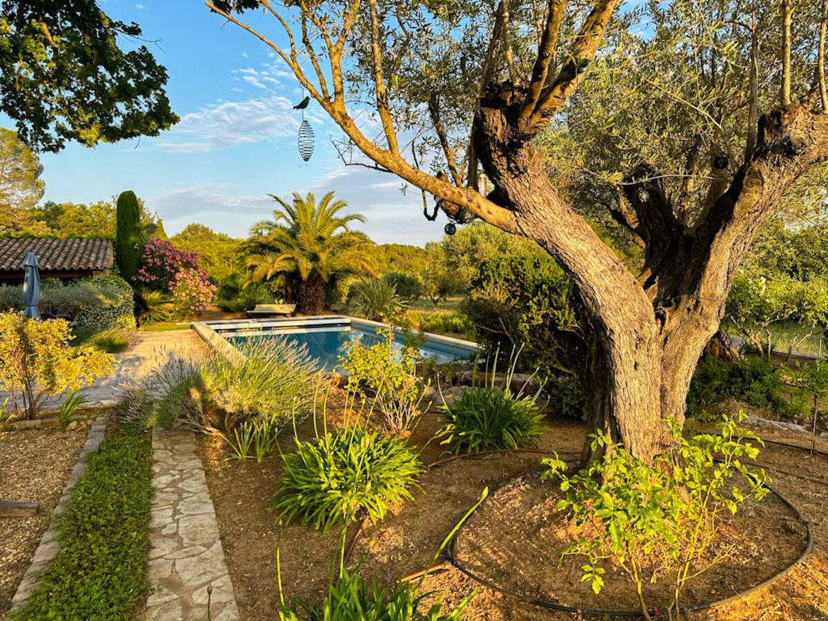 La Volière – Bastide 3 chambres avec piscine à Carcès - Photo 33