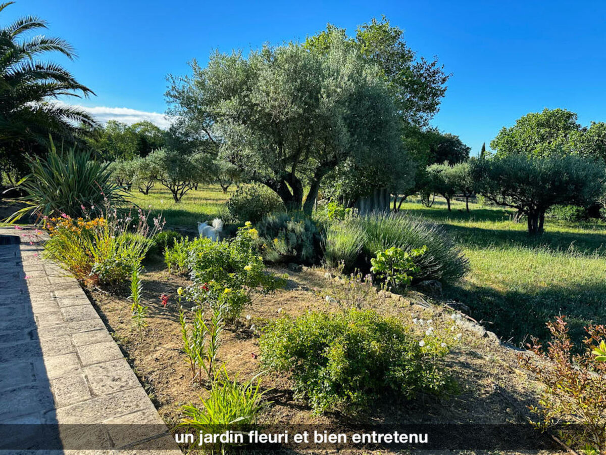 La Volière – Bastide 3 chambres avec piscine à Carcès - Photo 41
