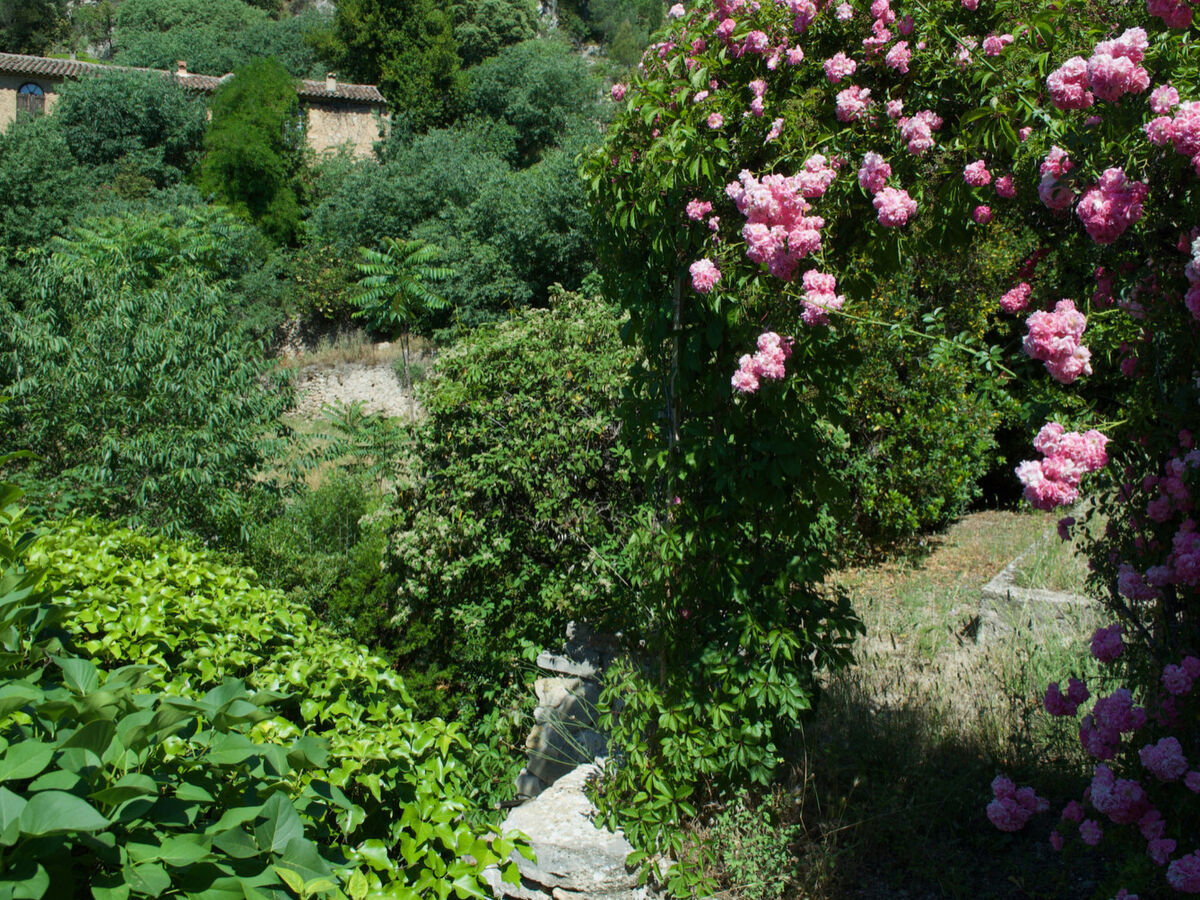 Maison Perchée à Carces, piscine privée et vue - Photo 29