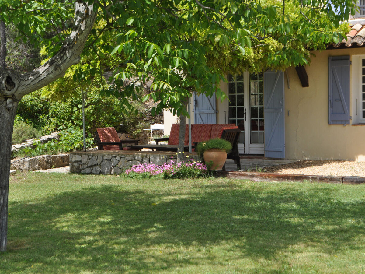 Mas provençal Les 2 Palmiers – piscine 10×5 m, vignes, Carcès - Photo 20