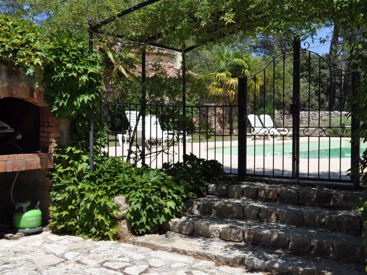 Mas provençal Les 2 Palmiers – piscine 10×5 m, vignes, Carcès - Photo 21