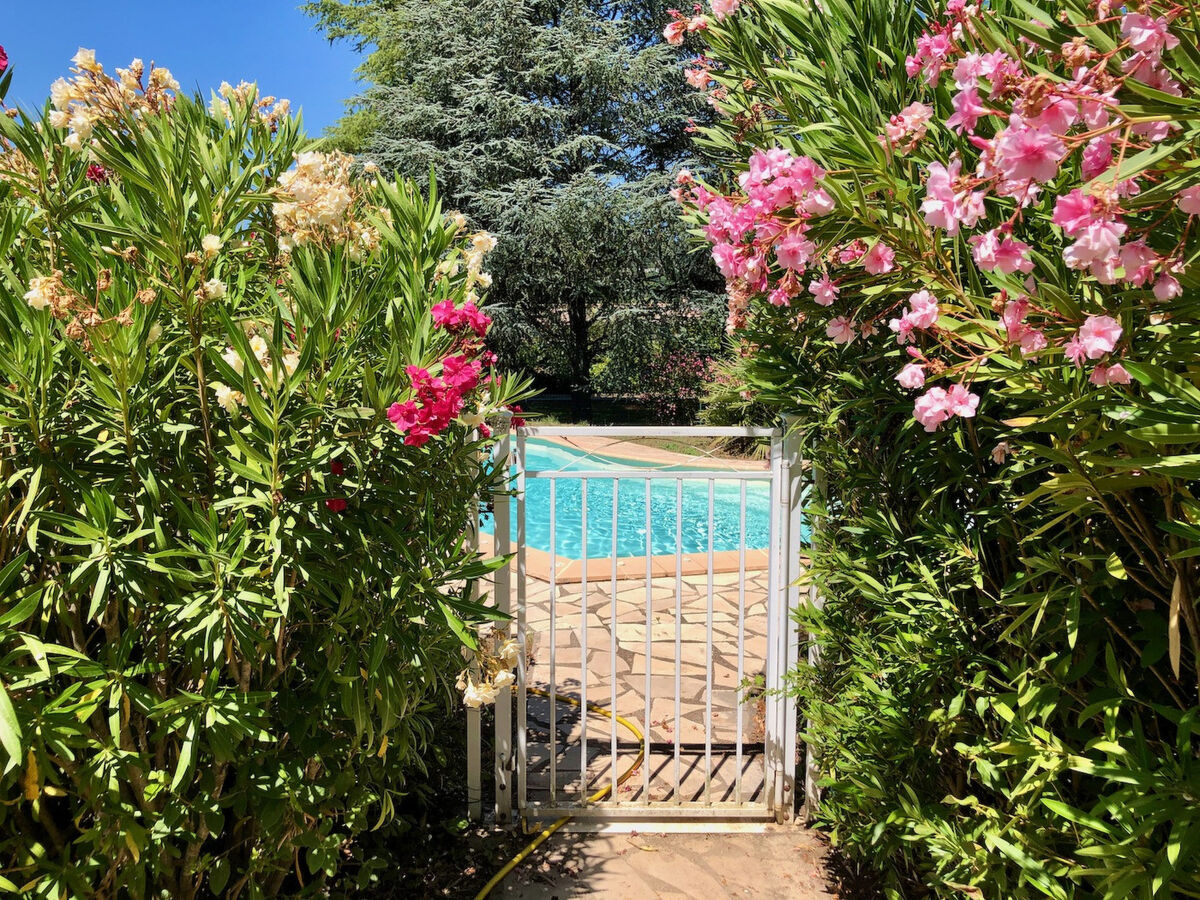 Clos des Chênes – Maison 3 chambres piscine à Carcès - Photo 3