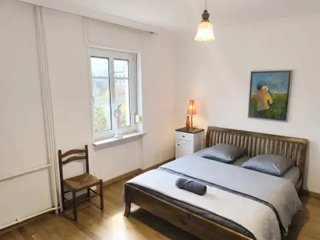 Maison familiale 300 m² à Bitche, 8 chambres et parking : photo 27