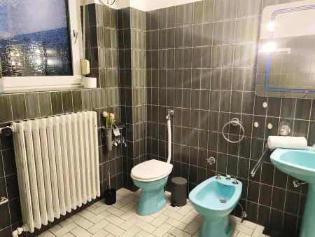 Maison familiale 300 m² à Bitche, 8 chambres et parking : photo 58