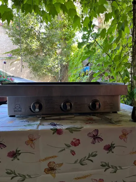 Appartement 6 pers. avec terrasse et jardin à Courthézon : photo 7