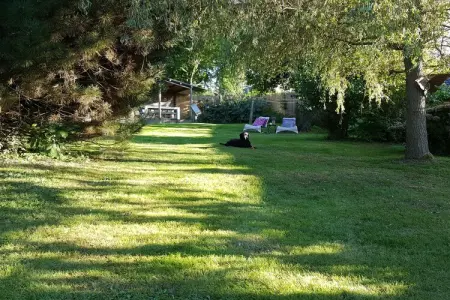 Au Foyer – Maison 6 pers. à Weris, jardin privé : photo 30