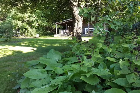 Au Foyer – Maison 6 pers. à Weris, jardin privé : photo 34