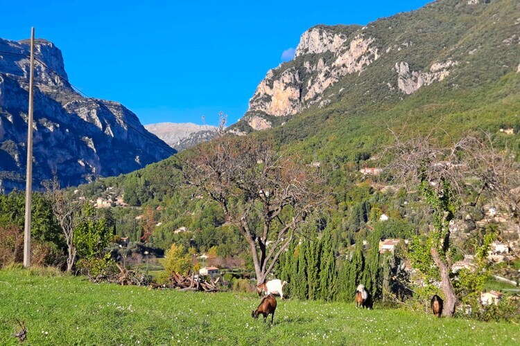 La Maison du Paysan – 8 pers. au Bar-sur-Loup - Photo 19